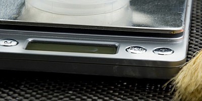 Mietwaagen-Service<br> 